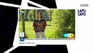 Łapu Capu (13 maja 2026)
