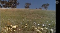 Domek na prerii S06e13 Gniewne serceTNT Xvid Lektor PL