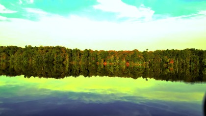 Lake in 4K; Relaxing Birdsong