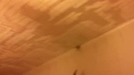 DallasStudios - Motyla Noga!