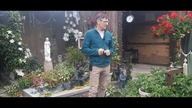 Ozonowanie kurnika i inne prace w Garden kuRaż