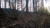 Gr&oacute;b nieznanego żołnierza - Jerzmanice
