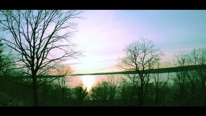 Birdsong Against the Setting Sun Evening Nature Sounds for Relaxation & Calm