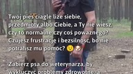 Zbyt częste lizanie u psa? Sprawdź, co robić!  
#ZdrowieZwierząt #Pies #Weterynaria