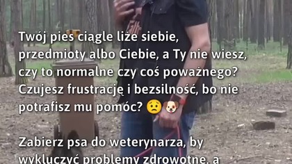 Zbyt częste lizanie u psa? Sprawdź, co robić!  
#ZdrowieZwierząt #Pies #Weterynaria