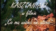 Kasztaniaki - czołówka serialu (wersja na łące)