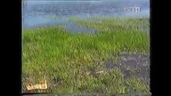Jedynka - Fragment Tylko u Nas z 6 października 2001 roku
