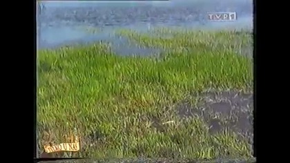 Jedynka - Fragment Tylko u Nas z 6 października 2001 roku