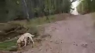 Dzika Plaża między Łazami i Mielnem! Pierwsze plażowanie w tym roku! SK na Wypadzie!
