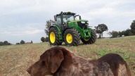 John Deere 6215R/ Kula
