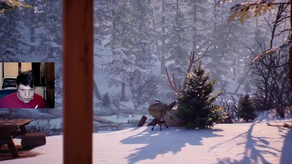 Life is Strange #11 | Puma