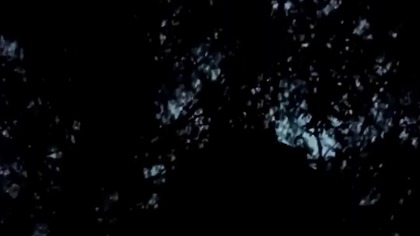 Nocny leśny spacer z Sharpem i Sarmatą! Wszystkich Świętych! Q&A i dyskusje przy blasku lampy!