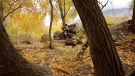 Assassin's Creed III - Lindsey Stirling