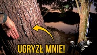 PIERWSZE UGRYZIENIE W TAJLANDII  
