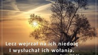 Audycja Wyzwolony - Frank Hampshire