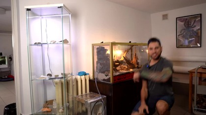 MOJA NAJWIĘKSZA KOLONIA MRÓWEK + RESZTA