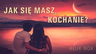 BLUE BOX - Jak się masz (z rep.  Happy End) 2023 disco polo
