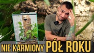 ŻYŁ bez mojej wiedzy PÓŁ ROKU  UKRYŁ SIĘ W PUSTYM TERRARIUM! 