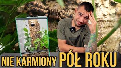 ŻYŁ bez mojej wiedzy PÓŁ ROKU  UKRYŁ SIĘ W PUSTYM TERRARIUM! 