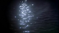 Piranha 1 (1978) napisy pl