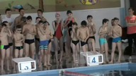 XII Grand Prix Gogolina w pływaniu