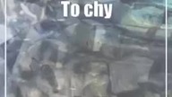 Świdnik: Puchar dla Avii!