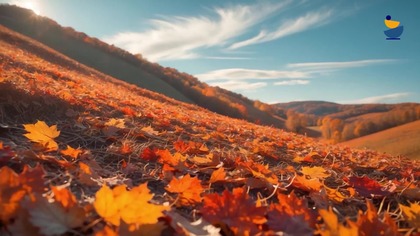 Meditation Channel - Fragment emisji z jesiennymi krajobrazami (19. 11. 2025)