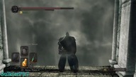 Skeleton Lords NG+7 - Boss Fight - Dark Souls II SOTFS