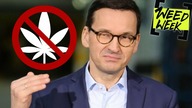 MORAWIECKI NIE ZALEGALIZUJE ZIOŁA BO...  | 70 LATKA ARESZTOWANA | MWK, WeedFest & Kanaba |
