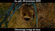 20. 04. 20 Otwarcie wstępu do lasu w polsce!
