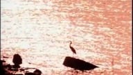 Obituary - Dont Care (official Music Video)
