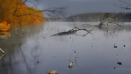 Sounds of a Frozen Lake in Late Autumn | 2H of Deeply Calming Winter Ambience