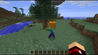 CIekawostki czego nie wiesz o minecrafcie
