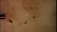 Alien Intruder - trailer (PL)