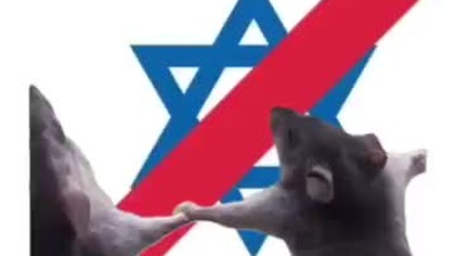 Cały polski Internet od wczoraj, po haniembym zachowaniu kibiców izraelskiego klubu Makabi Haifa.