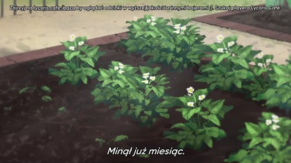 Historia mężczyzny w średnim wieku, który robi, co chce, korzystając z mocy zakupów online za pomocą jednego kliknięcia!
Kenichi, samotny mężczyzna po czterdziestce, zostaje przeniesiony do innego świata bez wyraźnego powodu. Próbując uciec z niebezpiecznego lasu pełnego potworów, zdaje sobie sprawę, że ma moc dostępu do ogromnego sklepu internetowego.
Wykorzystując tę moc do wymiany towarów znalezionych w tym nowym świecie na gotówkę, a następnie kupując nowoczesne towary przez Internet, był w stanie szybko stworzyć bardzo popularny biznes. Jednak jego celem jest leniwe i spokojne życie. Zamiast jeszcze bardziej rozwijać swój biznes, postanawia się ustatkować i żyć dzięki mocy Jeffa Bezosa.