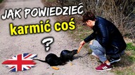 Jak powiedzieć: karmić, nakarmić coś - Zwroty po Angielsku - Nutrie Byczyna