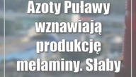 Azoty Puławy wznawiają produkcję melaminy.  Słaby pierwszy kwartał