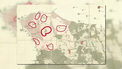 Jaworzno mało znane- Pnioki, krzoki i ptoki