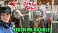 Zimowy dzień w stajni MOIMI OCZAMI *WV #124