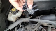 Exhaust Gas Pressure Sensor (Ford Kuga Mk1)