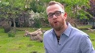 Nasze zwierzaki: U weterynarza S01E01 DUB PL