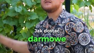 DARMOWE RZECZY Z TEMU!