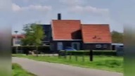 Windmil in Netherlands @OkiemPisarza #netherlands #windmil #countryroads #drenthe #movie