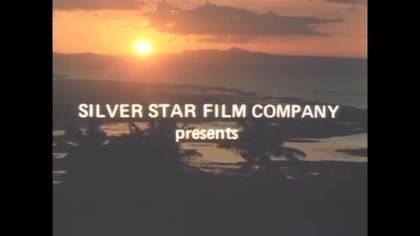 Bohaterowie do wynajęcia. Heroes For Hire. 1984. nap PL