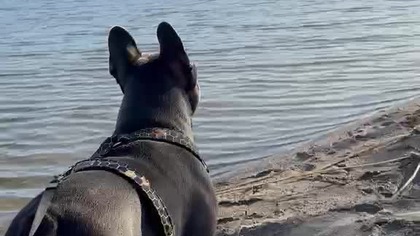 20f62808-8c45-46ae-8e1b-8597d5abe679