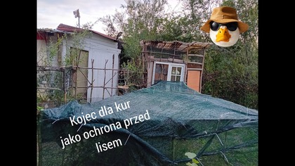 Budowa kojca dla kury i pierwszy montaż filmów na nowym komputerze :)