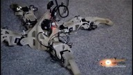 Zagadki .... s04e07