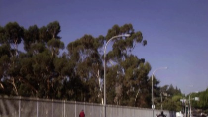 Criminal M.  1.  11
