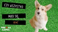 Czy wszystko musi się udać?